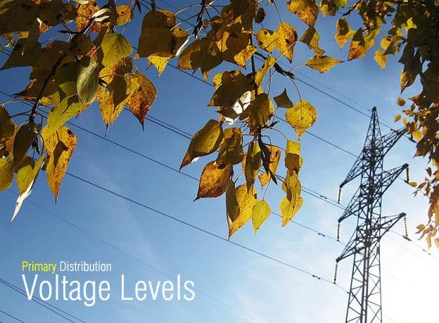 Primary Distribution Voltage Levels