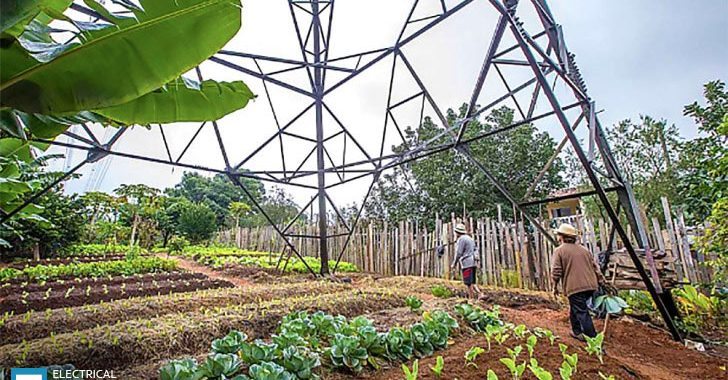 How HV transmission lines affects humans and plants?