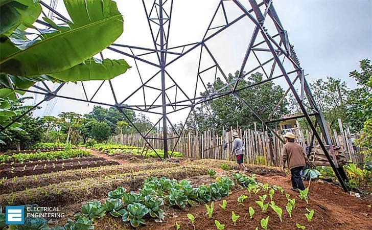 How HV transmission lines affects humans and plants?