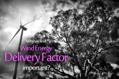 Why we find Wind Energy Delivery Factor important?