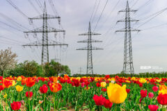 Total Losses in Power Distribution and Transmission Lines