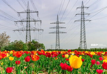 Total Losses in Power Distribution and Transmission Lines