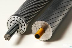 Selection of HV Conductors And Earth Wires