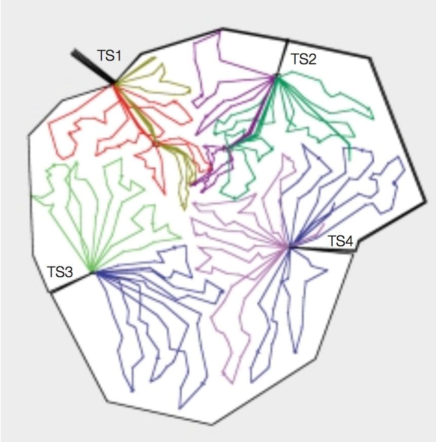 Topology of the AIS variant with peripheral 6 transformer substations and additional satellite stations (distribution voltage 20 kV)