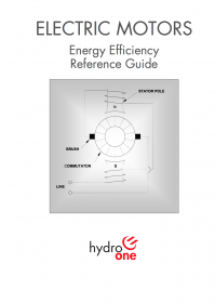 Electric motors - Energy efficiency reference guide for novice ...