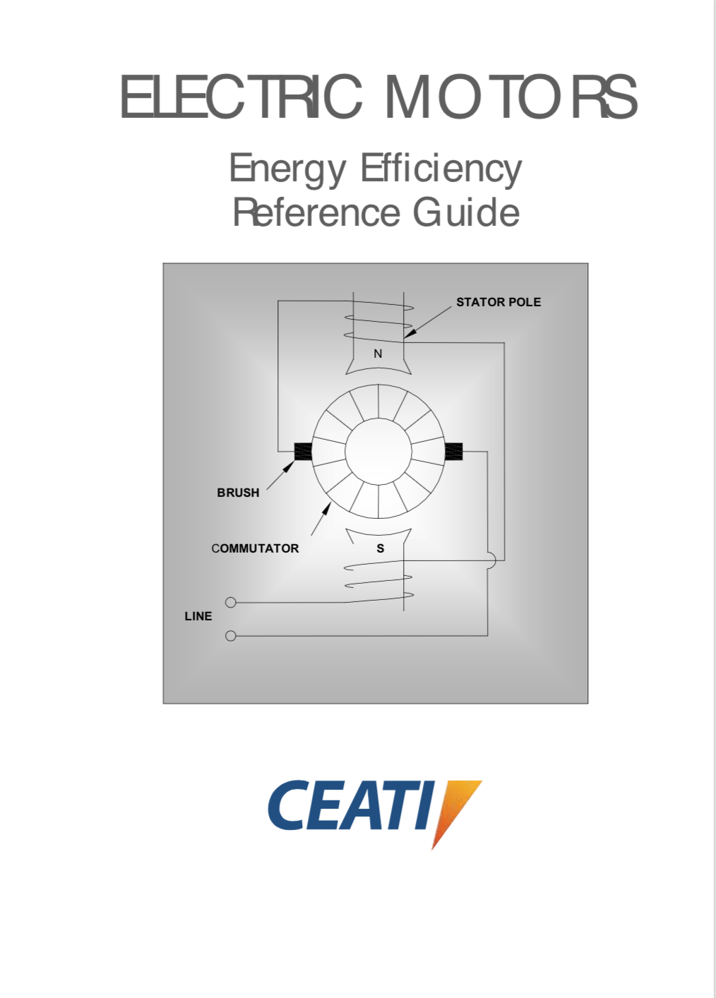 Electric motor selection, control and maintenance guidelines