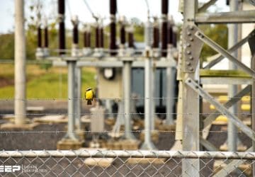 The Essentials Of Substations, Electrical Equipment and Busbar Arrangements