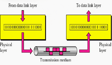 The Physical Layer