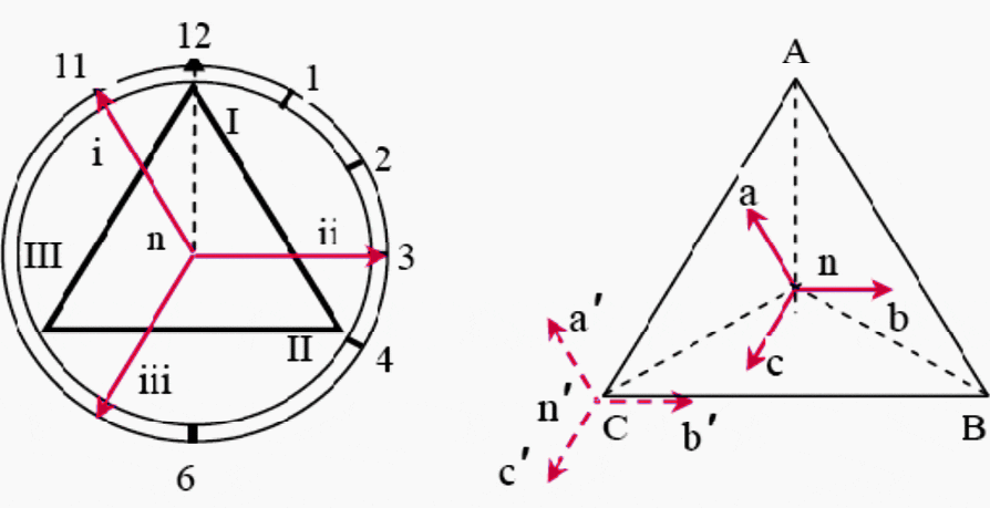 Connection group representation and measuring