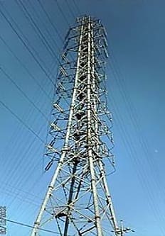 Branch pylon