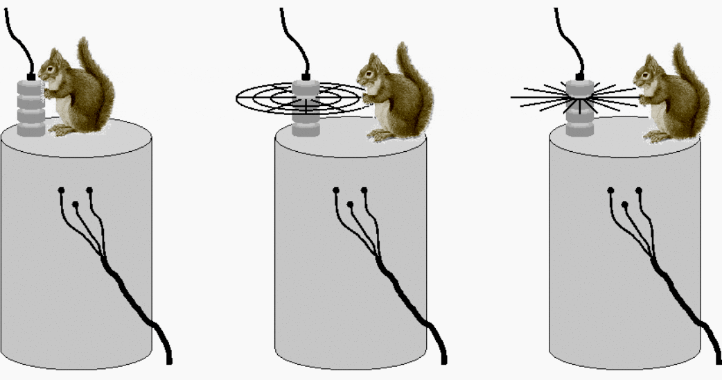 The figure to the left shows a squirrel causing a fault by bridging the phase voltage to the grounded transformer tank