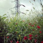 Preventing new grid connections from creating unacceptable disturbances for other users