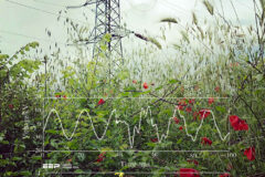 Preventing new grid connections from creating unacceptable disturbances for other users