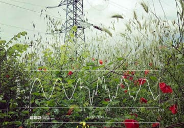 Preventing new grid connections from creating unacceptable disturbances for other users