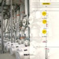 Trip Signal and Trip Circuit Analysis of the 132kV Line-1 (=E01) Schematics (PDF included)