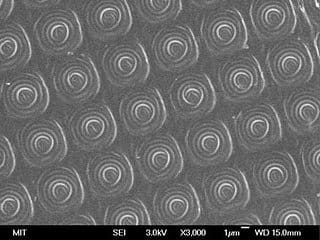 An array of microbattery electrodes