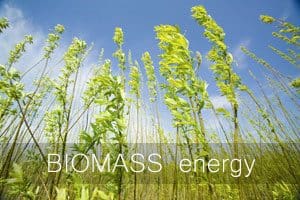 Benefits of biomass energy