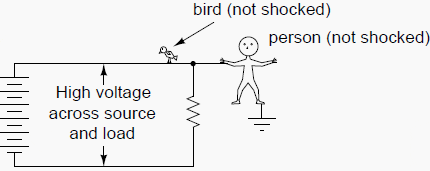 Bird not shocked, person not shocked, with no ground at all