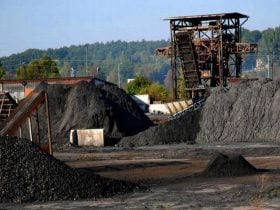 Coal Handling Plant In A Thermal Power Generating Station