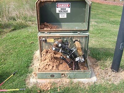 Fire ants nesting inside transformer