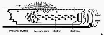 Fluorescent Lamps