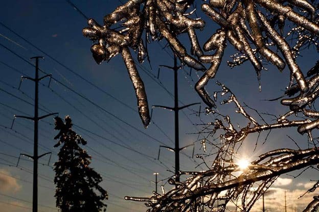 Toronto, Canada - The sun shines through ice-covered branches