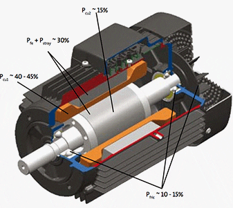 Loss distribution in an induction motor