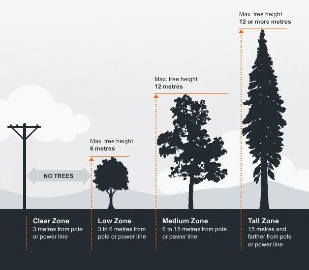 Tree distances from overhead lines