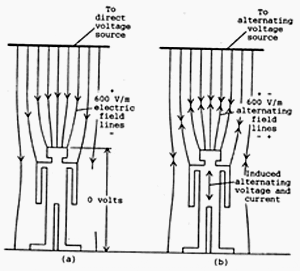 Power frequency electric fields