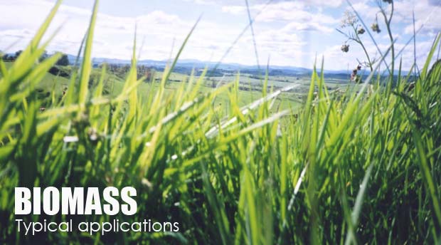 Typical applications of biomass