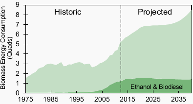 U.S. Biomass Consumption: Historic and Projected