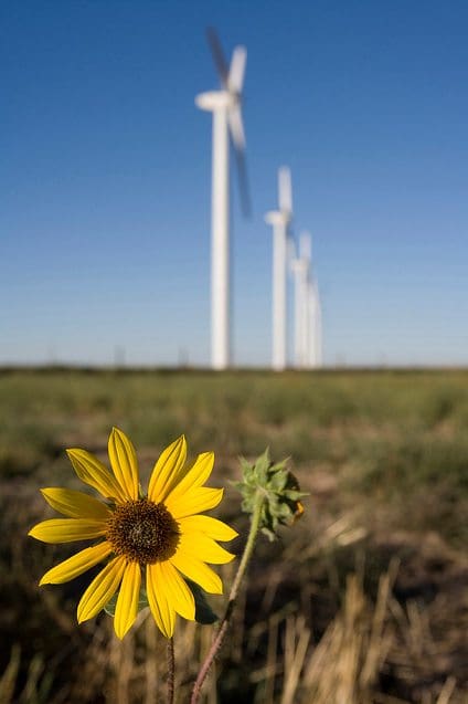 Wind Farm in Cedar Creek, Colorado, USA